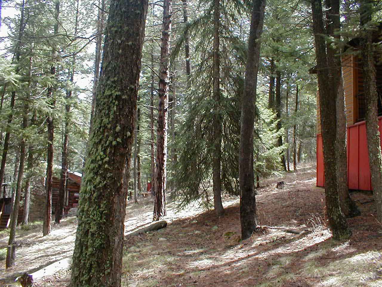 Unique Cabins for Sale in Evergreen, Colorado, Affordable Mountain Cabins, Buy Cabin Now | TwinSpruceCabins.com
