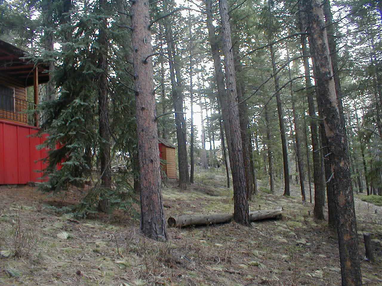 Unique Cabins for Sale in Evergreen, Colorado, Affordable Mountain Cabins, Buy Cabin Now | TwinSpruceCabins.com