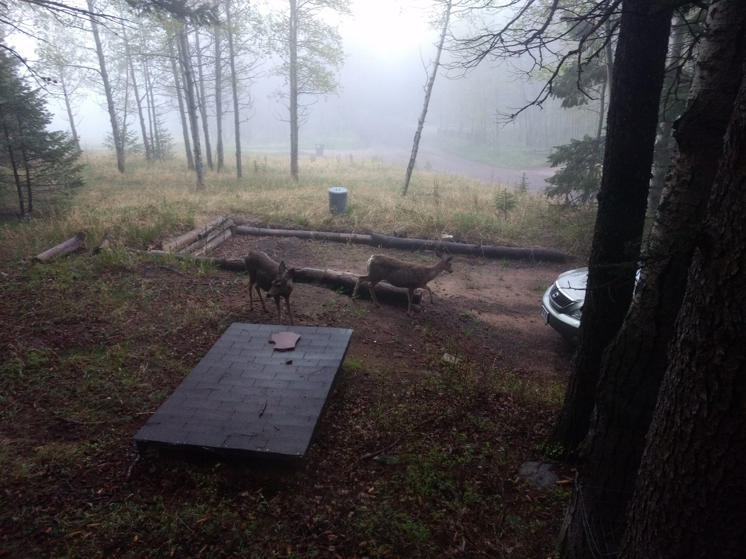 Unique Cabins for Sale in Evergreen, Colorado, Affordable Mountain Cabins, Buy Cabin Now | TwinSpruceCabins.com