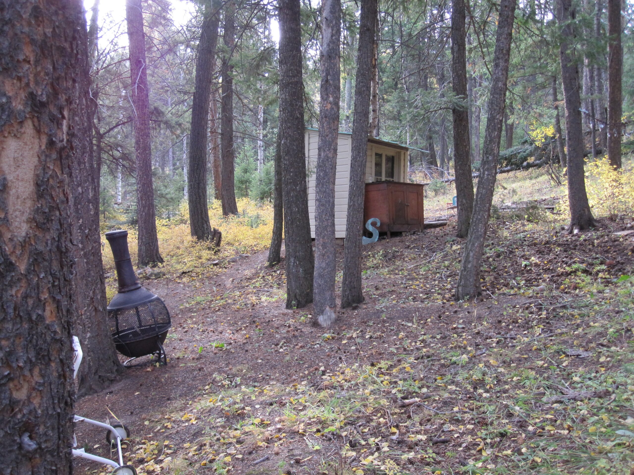 Unique Cabins for Sale in Evergreen, Colorado, Affordable Mountain Cabins, Buy Cabin Now | TwinSpruceCabins.com