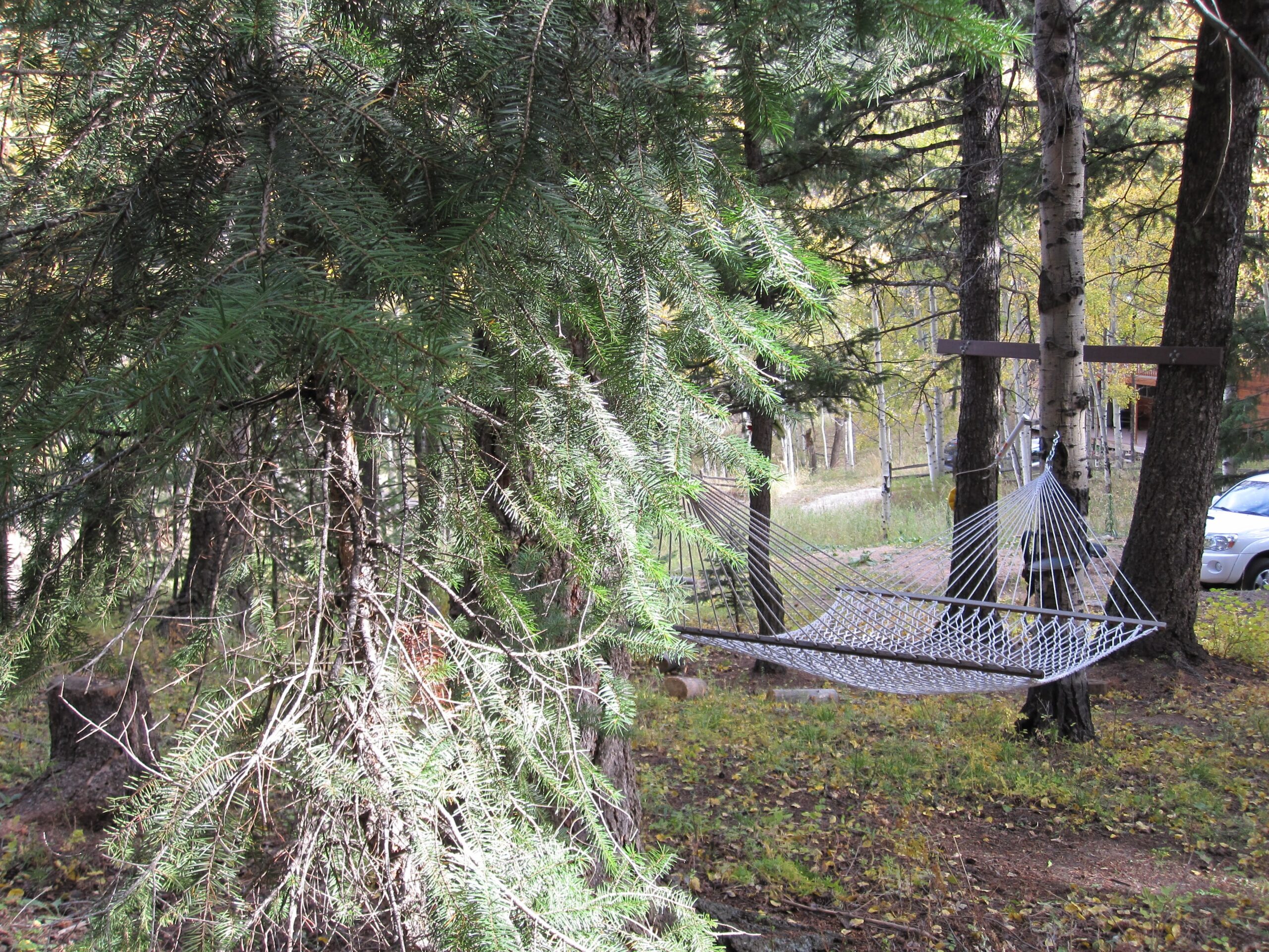 Unique Cabins for Sale in Evergreen, Colorado, Affordable Mountain Cabins, Buy Cabin Now | TwinSpruceCabins.com